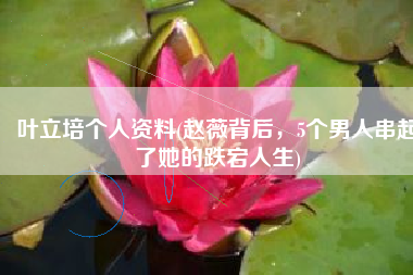 叶立培个人资料(赵薇背后，5个男人串起了她的跌宕人生)