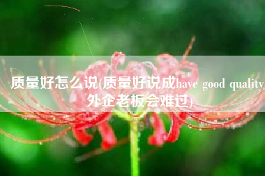质量好怎么说(质量好说成have good quality，外企老板会难过)