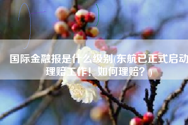 国际金融报是什么级别(东航已正式启动理赔工作！如何理赔？)