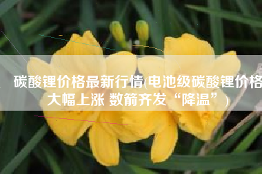 碳酸锂价格最新行情(电池级碳酸锂价格大幅上涨 数箭齐发“降温”)