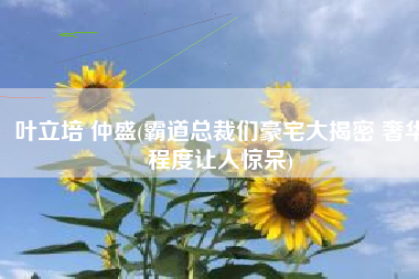 叶立培 仲盛(霸道总裁们豪宅大揭密 奢华程度让人惊呆)