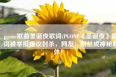 pgone歌曲圣诞夜歌词(PGONE《圣诞夜》歌词被举报提议封杀，网友：粉丝成神秘群体！)