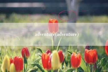 adventure(adventure)