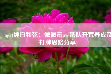 nga(纯白和弦：微微氪pve法队开荒养成及打牌思路分享)