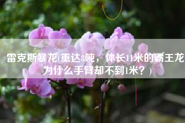 雷克斯暴龙(重达8吨，体长11米的霸王龙，为什么手臂却不到1米？)