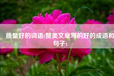 质量好的词语(赞美文章写的好的成语和句子)