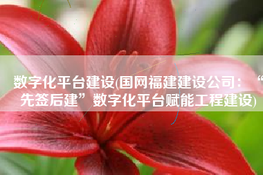 数字化平台建设(国网福建建设公司：“先签后建”数字化平台赋能工程建设)