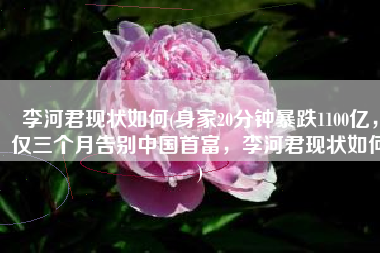 李河君现状如何(身家20分钟暴跌1100亿，仅三个月告别中国首富，李河君现状如何)