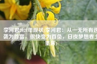 李河君2021年现状(李河君：从一无所有逆袭为首富，很快变为首负，日夜梦想卷土重来)