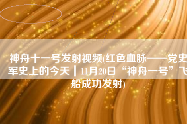 神舟十一号发射视频(红色血脉——党史军史上的今天｜11月20日“神舟一号”飞船成功发射)
