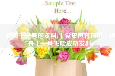 神舟十一号的资料(「党史声音日历」神舟十一号飞船成功发射)