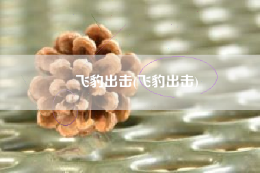 飞豹出击(飞豹出击)