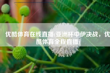 优酷体育在线直播(亚洲杯中伊决战，优酷体育全程直播)
