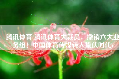 腾讯体育(腾讯体育大裁员，撤销六大业务组！中国体育传媒转入蛰伏时代)
