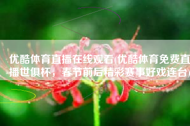 优酷体育直播在线观看(优酷体育免费直播世俱杯，春节前后精彩赛事好戏连台)