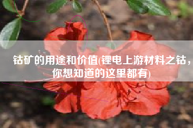 钴矿的用途和价值(锂电上游材料之钴，你想知道的这里都有)