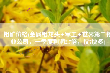 钼矿价格(金属钼龙头+军工+世界第二钼业公司，一季度利润2.7倍，仅7块多)