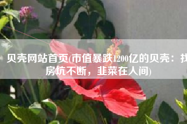 贝壳网站首页(市值暴跌1200亿的贝壳：找房坑不断，韭菜在人间)