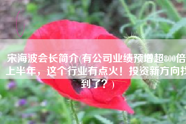 宋海波会长简介(有公司业绩预增超800倍！上半年，这个行业有点火！投资新方向找到了？)
