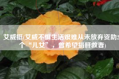 艾威挺(艾威不惧生活艰难从未放弃资助28个“儿女”，曾希望捐肝救妻)