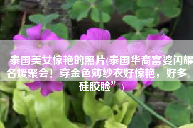 泰国美女惊艳的照片(泰国华裔富婆闪耀名媛聚会！穿金色薄纱衣好惊艳，好多“硅胶脸”)