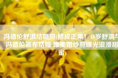 冯德伦舒淇结婚照(修成正果！40岁舒淇与冯德伦宣布结婚 唯美婚纱照曝光浪漫甜蜜)