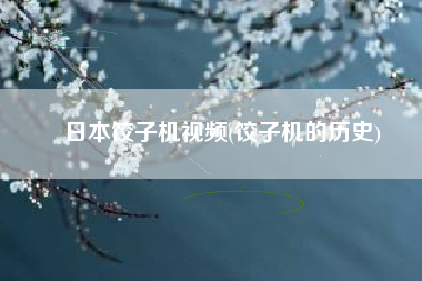 日本饺子机视频(饺子机的历史)