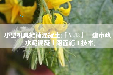 小型机具摊铺混凝土(「No.13」一建市政 | 水泥混凝土路面施工技术)