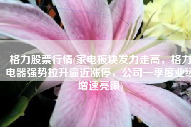 格力股票行情(家电板块发力走高，格力电器强势拉升逼近涨停，公司一季度业绩增速亮眼)