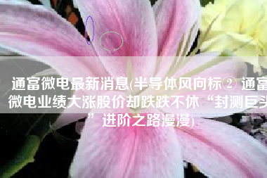通富微电最新消息(半导体风向标② 通富微电业绩大涨股价却跌跌不休“封测巨头”进阶之路漫漫)