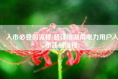 入市必登的流程(超详细湖南电力用户入市注册流程)