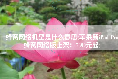 蜂窝网络机型是什么意思(苹果新iPad Pro蜂窝网络版上架：7699元起)