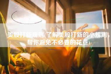 美股打新规则(了解美股打新的小规则，帮你避免不必要的花费)