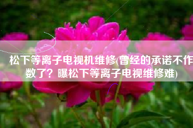 松下等离子电视机维修(曾经的承诺不作数了？曝松下等离子电视维修难)