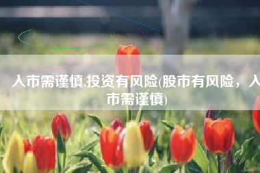 入市需谨慎,投资有风险(股市有风险，入市需谨慎)