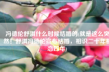 冯德伦舒淇什么时候结婚的(就是这么突然！舒淇冯德伦宣布结婚，相识二十年相恋四年)