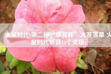 火星时代(第二届“草花杯”大赛落幕 火星时代斩获12个奖项)