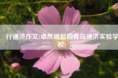 行通济作文(卓然崛起的青岛通济实验学校)
