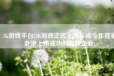 3k游戏平台(3K游戏正式上市！成今年首家赴港上市成功的游戏企业)