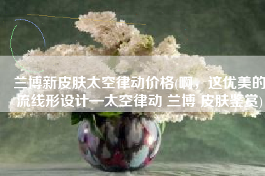 兰博新皮肤太空律动价格(啊，这优美的流线形设计—太空律动 兰博 皮肤鉴赏)