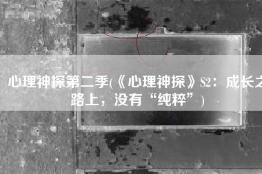 心理神探第二季(《心理神探》S2：成长之路上，没有“纯粹”)