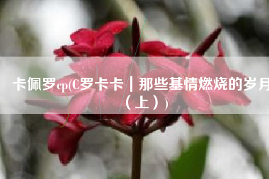 卡佩罗cp(C罗卡卡｜那些基情燃烧的岁月（上）)