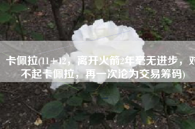 卡佩拉(11+12，离开火箭2年毫无进步，对不起卡佩拉，再一次沦为交易筹码)