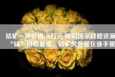 钴矿一吨价格(40万元/吨的国家战略资源“钴”价格暴涨，钴矿究竟握在谁手里)