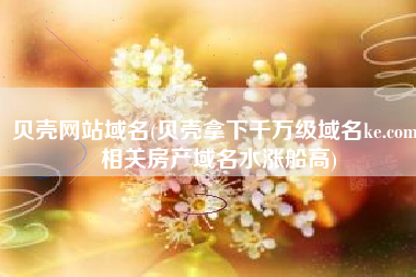 贝壳网站域名(贝壳拿下千万级域名ke.com，相关房产域名水涨船高)