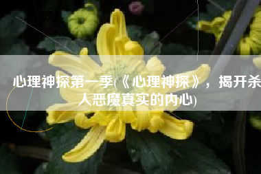 心理神探第一季(《心理神探》，揭开杀人恶魔真实的内心)