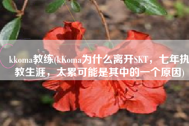 kkoma教练(kKoma为什么离开SKT，七年执教生涯，太累可能是其中的一个原因)