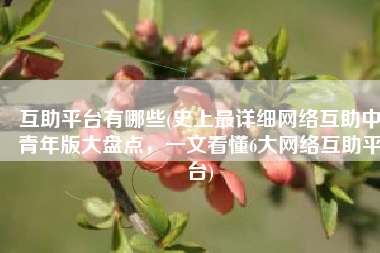 互助平台有哪些(史上最详细网络互助中青年版大盘点，一文看懂6大网络互助平台)