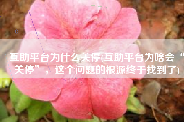 互助平台为什么关停(互助平台为啥会“关停”，这个问题的根源终于找到了)
