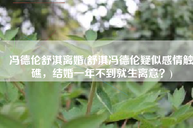 冯德伦舒淇离婚(舒淇冯德伦疑似感情触礁，结婚一年不到就生离意？)
